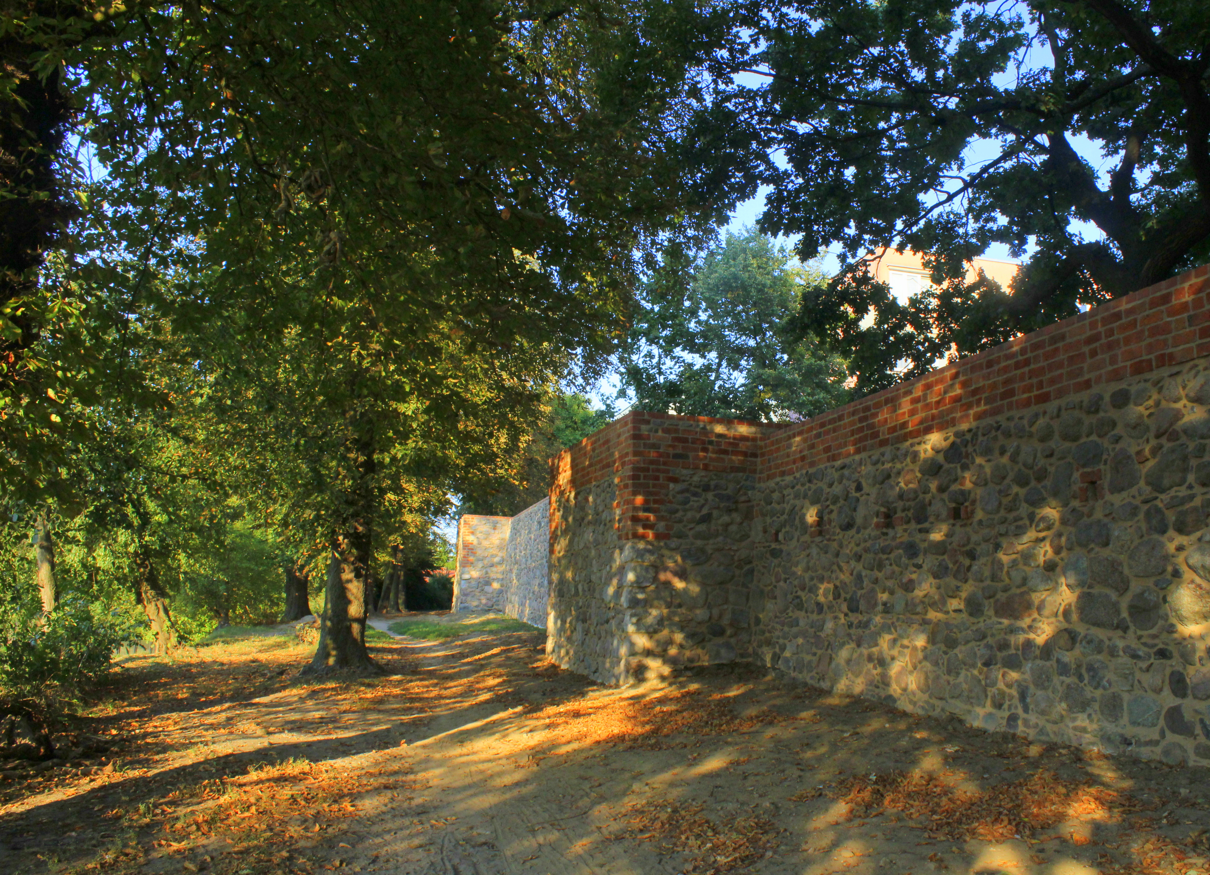 Town wall, Myślibórz